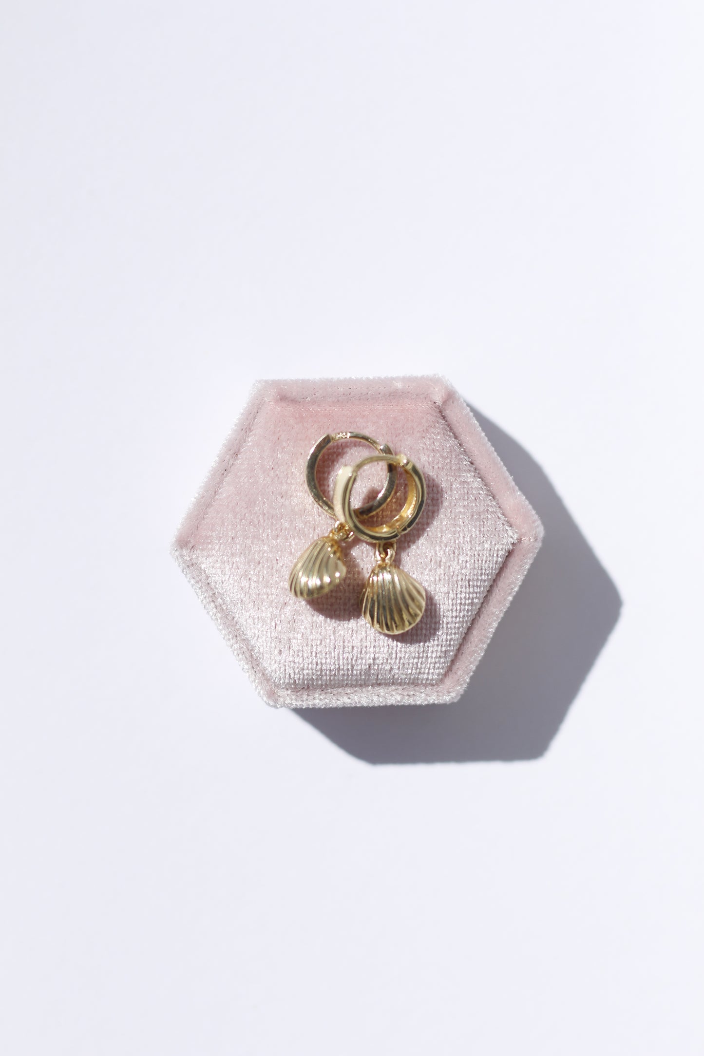 14K Solid Gold Shell Earrings